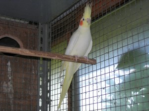 DSCN1303