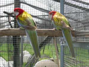 DSCN3776