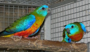 DSCN7752