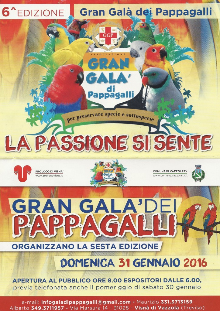 volantino(1)
