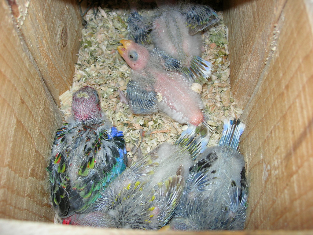 DSCN1637