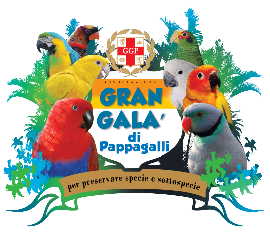 gran galà di pappagalli